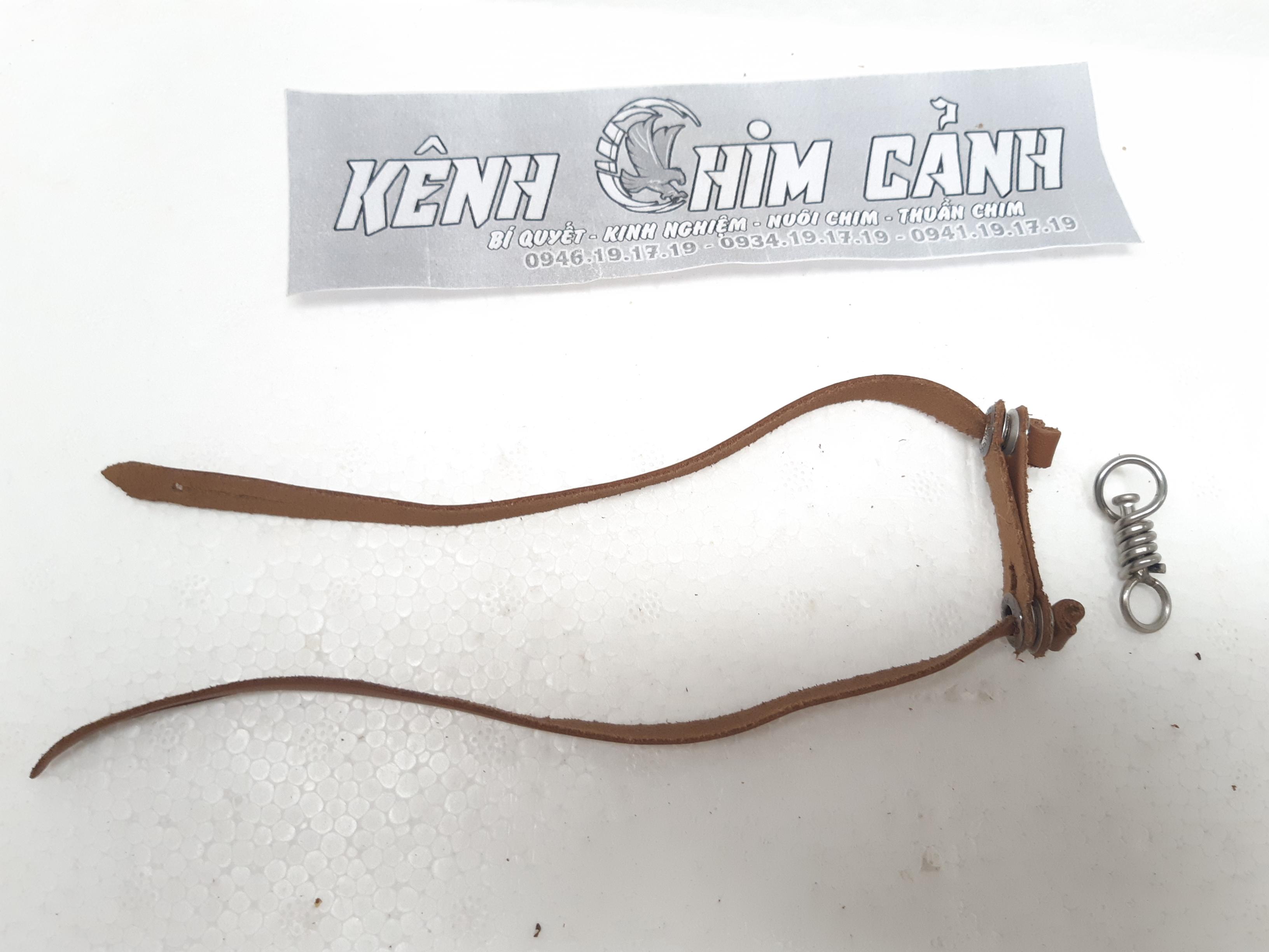 dây chân chim shikra-kênh chim cảnh