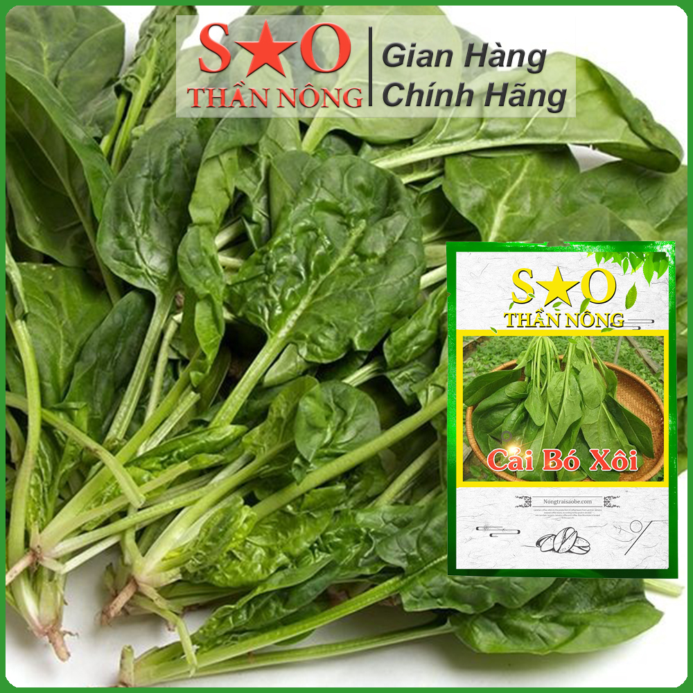 Hạt giống cải bó xôi F1 Sao thần nông 6 g