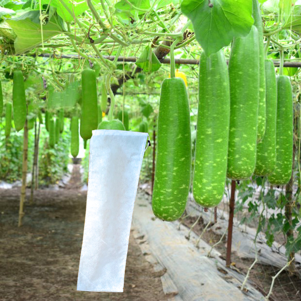 Combo 50 Túi Bọc Mướp 16cmx60cm Dây Rút Bằng Vải Rất Dày Và Dai - Chuyên Dùng Bọc Trái Bầu, Trái Mướp, Trái Bí Đao