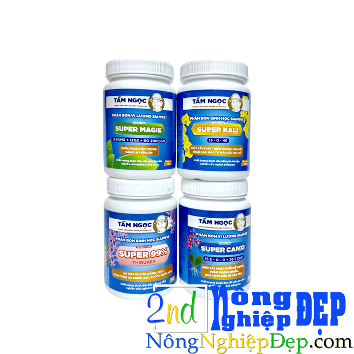 bộ tứ Super thầy Tám Ngọc