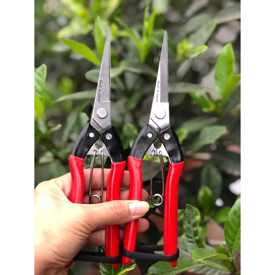 Kéo tỉa dăm tỉa cành cây sk5 japan