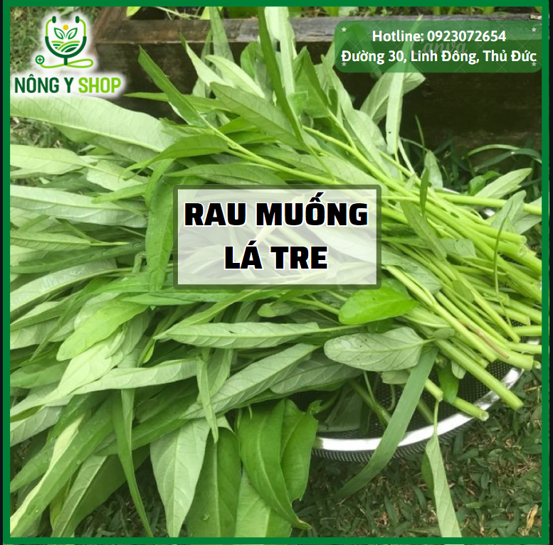 Hạt giống rau muống lá tre rạng đông rado 12 - 100g