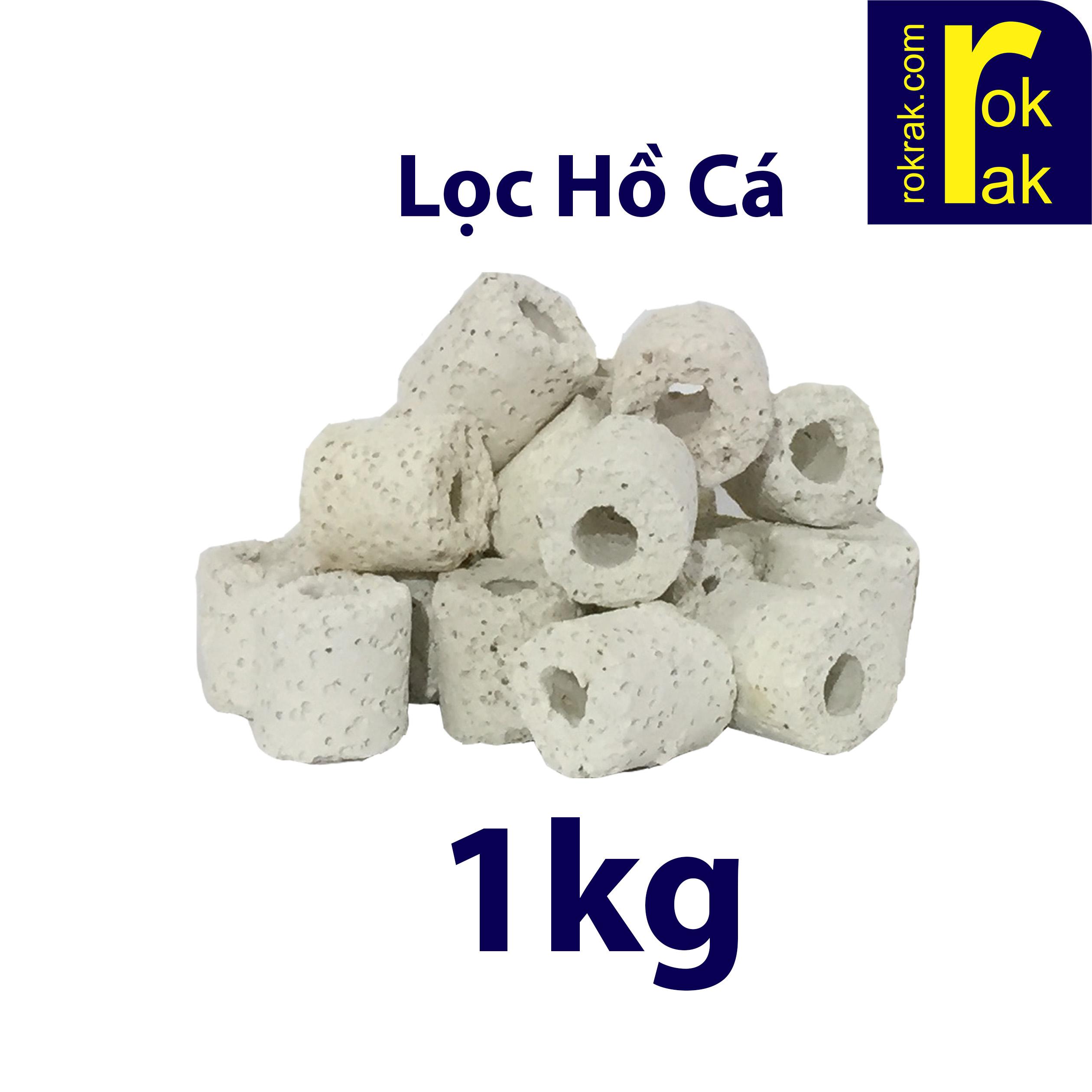 [HCM]Sứ lọc nước vi sinh vật liệu lọc hồ cá cảnh SỨ NHẪN TRẮNG 1KG Khả năng nuôi vi sinh vô cùng hiệu quả giá thành phải chăng