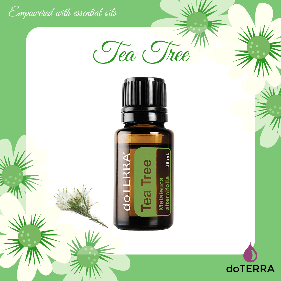 Tinh dầu tràm trà tea tree melaleuca tinh dầu trị liệu nguyên chất doterra usa - doterra essential oil tea tree melaleuca oil 15ml