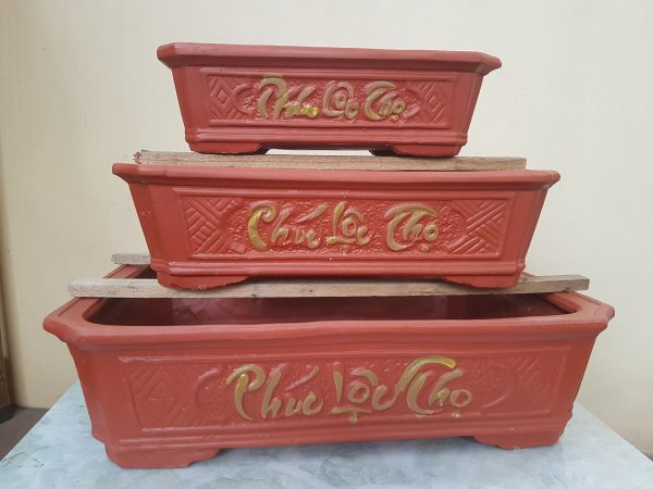 Chậu cảnh Ang đất đỏ chữ nhật CB-B4