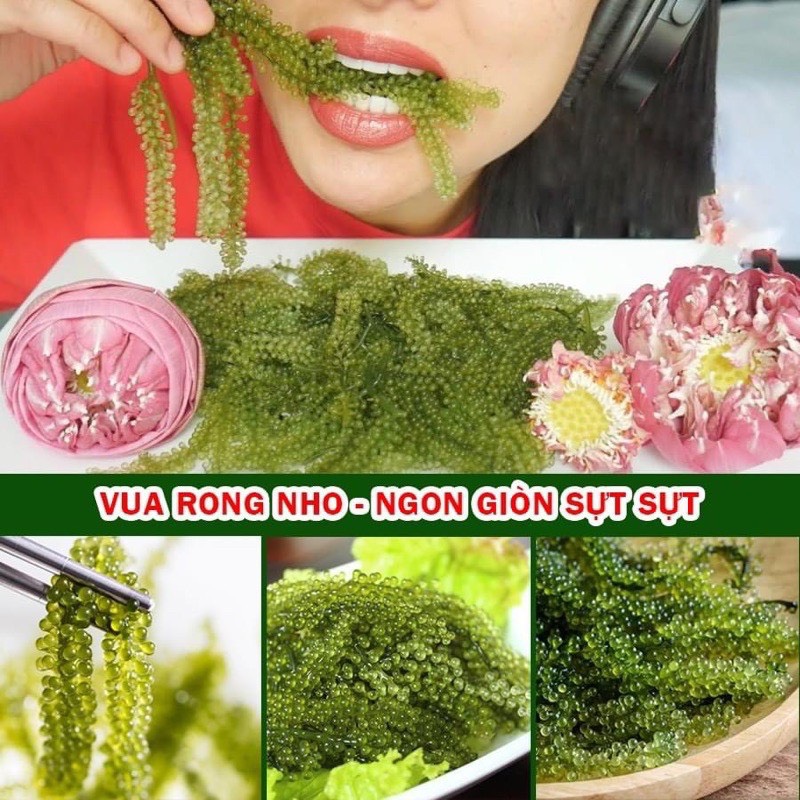 [ kèm 2 gói mè ] Rong Nho Tách Nước 200gram - Rong Biển SEA GRAPES