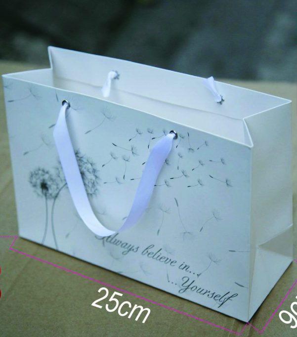Giá rẻ - combo 50 túi giấy quai ruy băng mẫu 19 đựng quà size 25x17x9cm