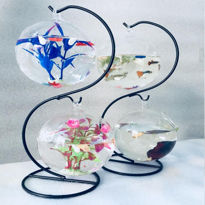 Combo 2 Bể cá mini treo để bàn S  - Tặng phụ kiện