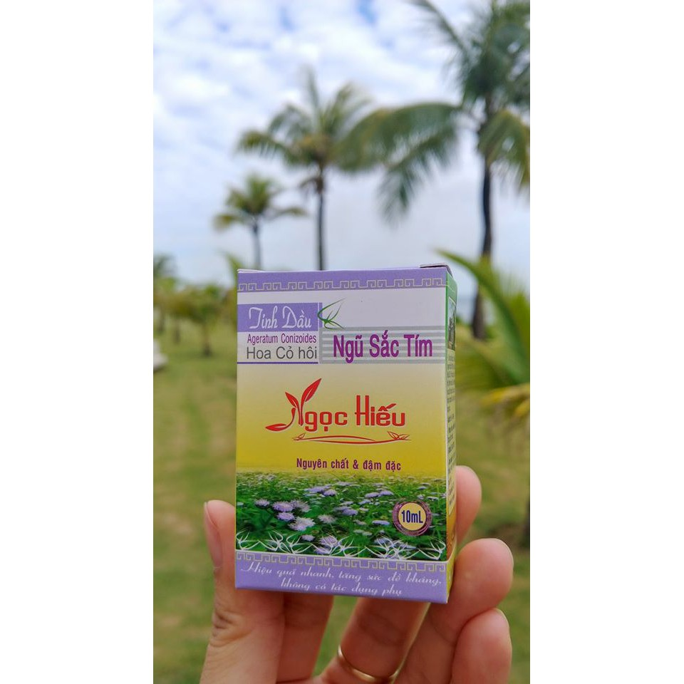 Tinh Dầu Thiên Nhiên Hoa Ngũ Sắc - Ngọc Hiếu 10Ml - Thần Dược Trị Viêm Xoang, Viêm Mũi Dị Ứng.