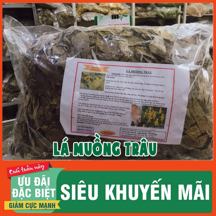 Lá Muồng Trâu Khô 500g Loại Cao Cấp - Thảo Dược Thanh Bình