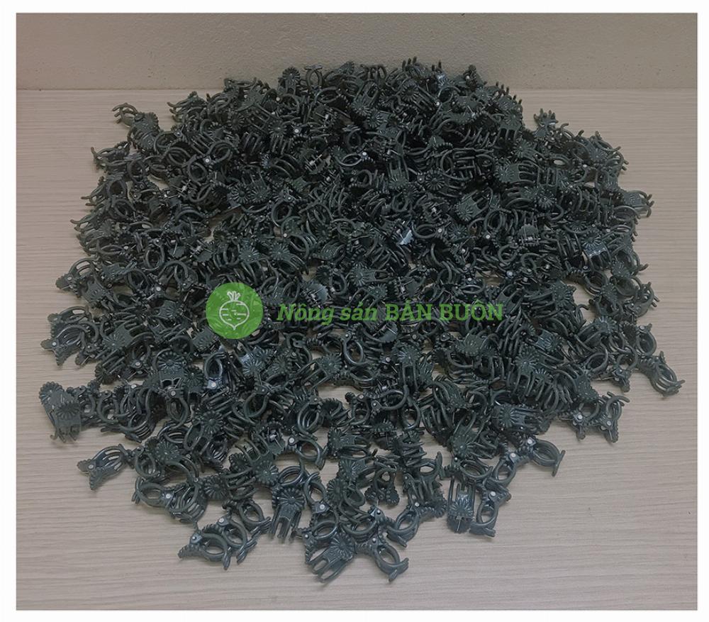 200 kẹp bướm trung - kẹp bướm cỡ trung siêu tốt kẹp lan hồ điệp!