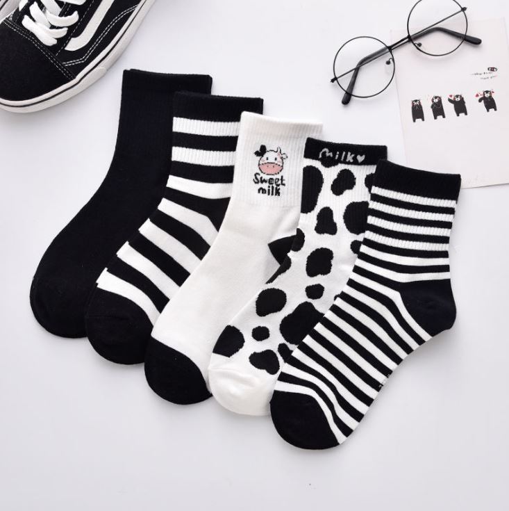 Set 5 đôi tất vớ cao cổ bò sữa siêu hot