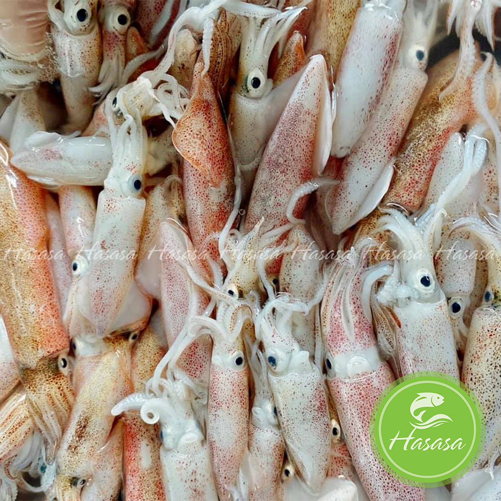 Mực sữa Phan Thiết - vỉ 500gram ( 15-20con/500gram)