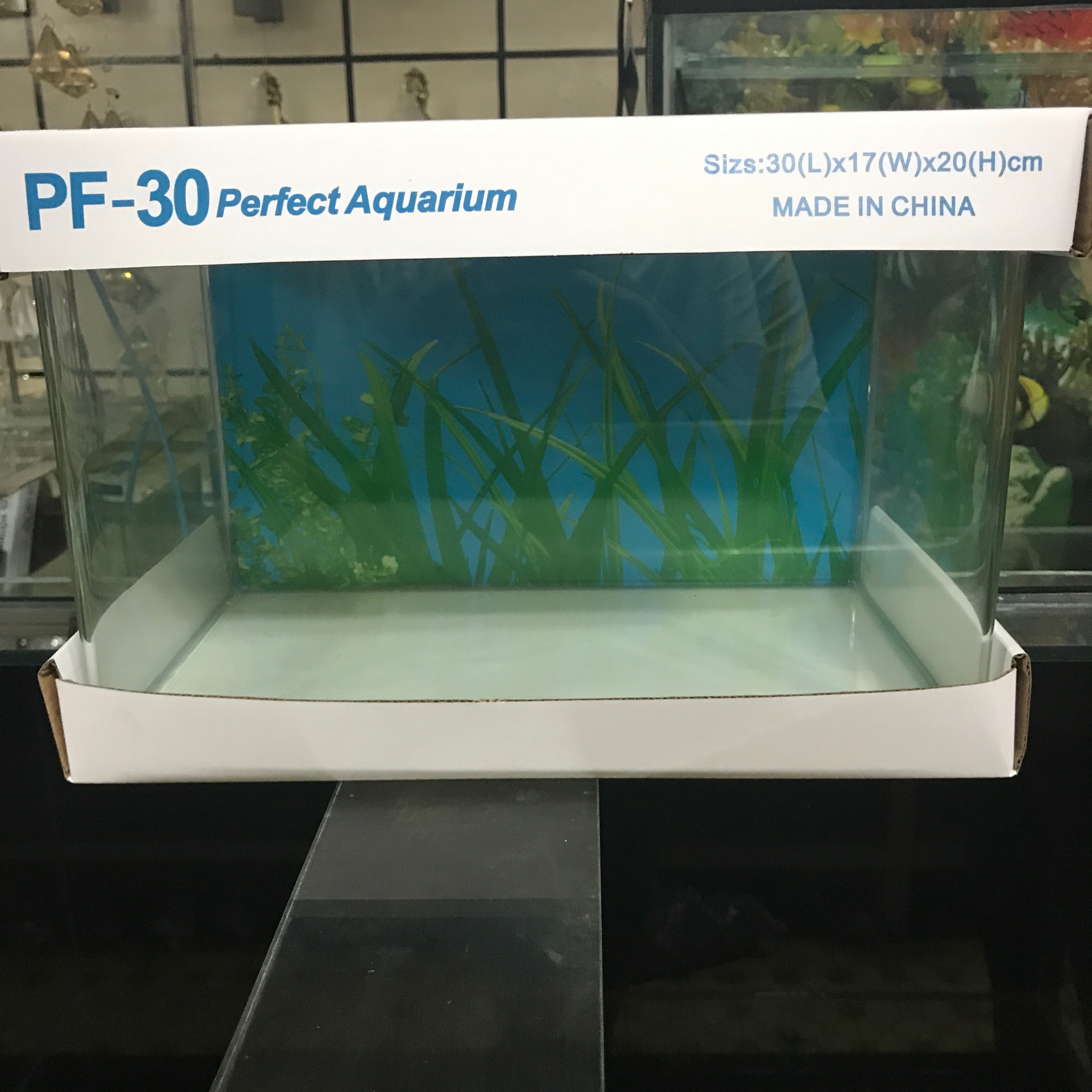 [FreeshipMAX] ( RẺ VÔ ĐỊCH ) bể cá . Hồ cá cảnh . Hồ đúc dài 30cm .thuỷ sinh