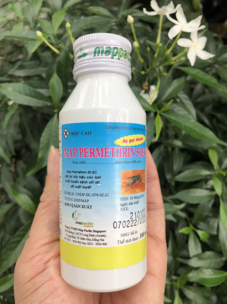 Chế phẩm diệt rệp ve, bọ chét, gián, kiến, ruồi, muỗi... Map permethrin - Chai 100ml
