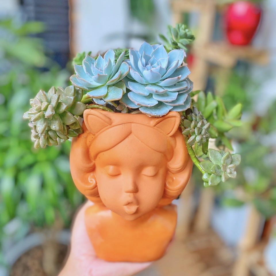 Chậu đất nung hình bé gái 1419cm trồng sen đá, cây cảnh nhỏ xinh xắn