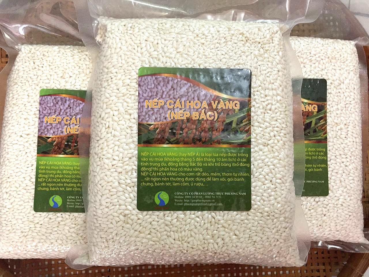 NẾP CÁI HOA VÀNG (nếp bắc) - TÚI 1KG
