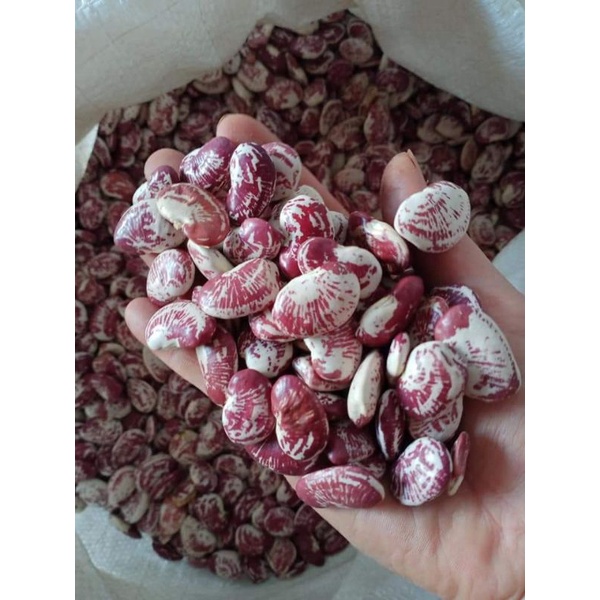 2KG Đậu Ngự chuẩn Sạch Thuần Chủng Loại 1 Ngon Bở _ Nấu xôi, nấu cháo, nấu chè, làm bánh, làm mứt, làm ngũ cốc dinh dưỡng