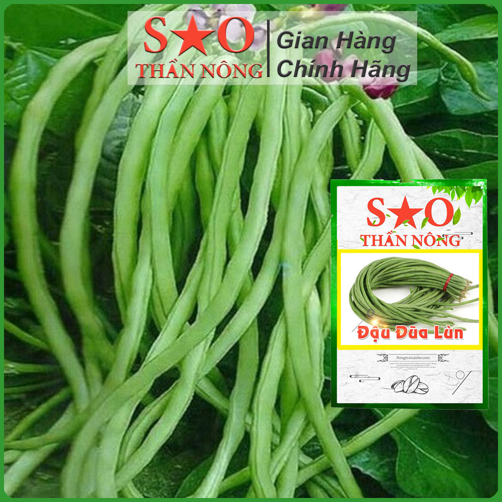 Hạt giống Đậu Đũa cao sản ngọt bụi lùn -hạt giống rau Sao thần Nông-Gói 10g