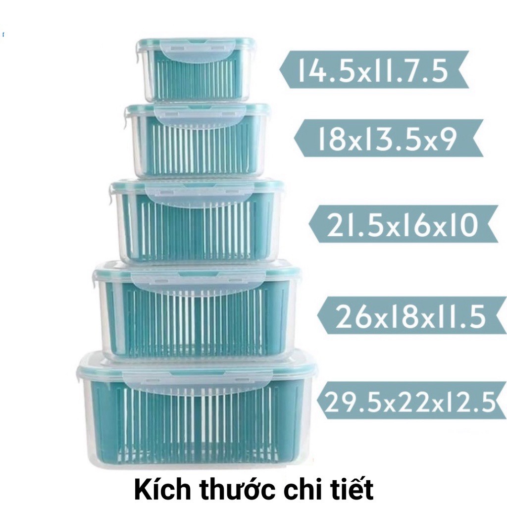 (CÓ VIDEO) Bộ 5 hộp đựng rau củ quả thực phẩm kèm rổ và nắp đậy bảo quản trong tủ lạnh loại tốt