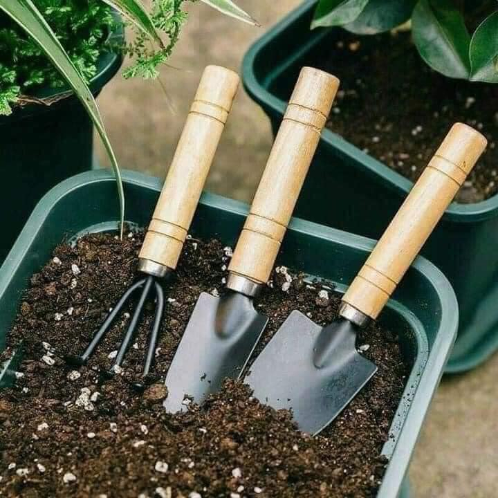 Bộ làm vườn mini sét 3 chiếc/sét 3 chiếc bộ làm vườn mini siêu đẹp, chắc chắn cán gỗ cầm tay đa năng