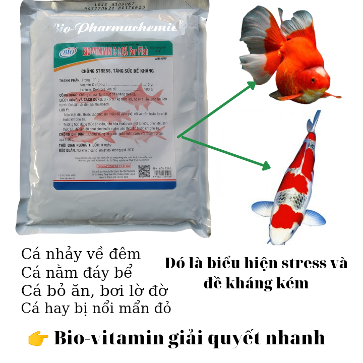 Vitamin C cho cá koi, cá vàng (hộp 100g) Chống tress hiệu quả, tăng đề kháng cho cá.