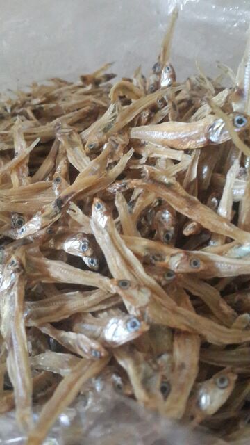 Cá cơm biển cửa lò