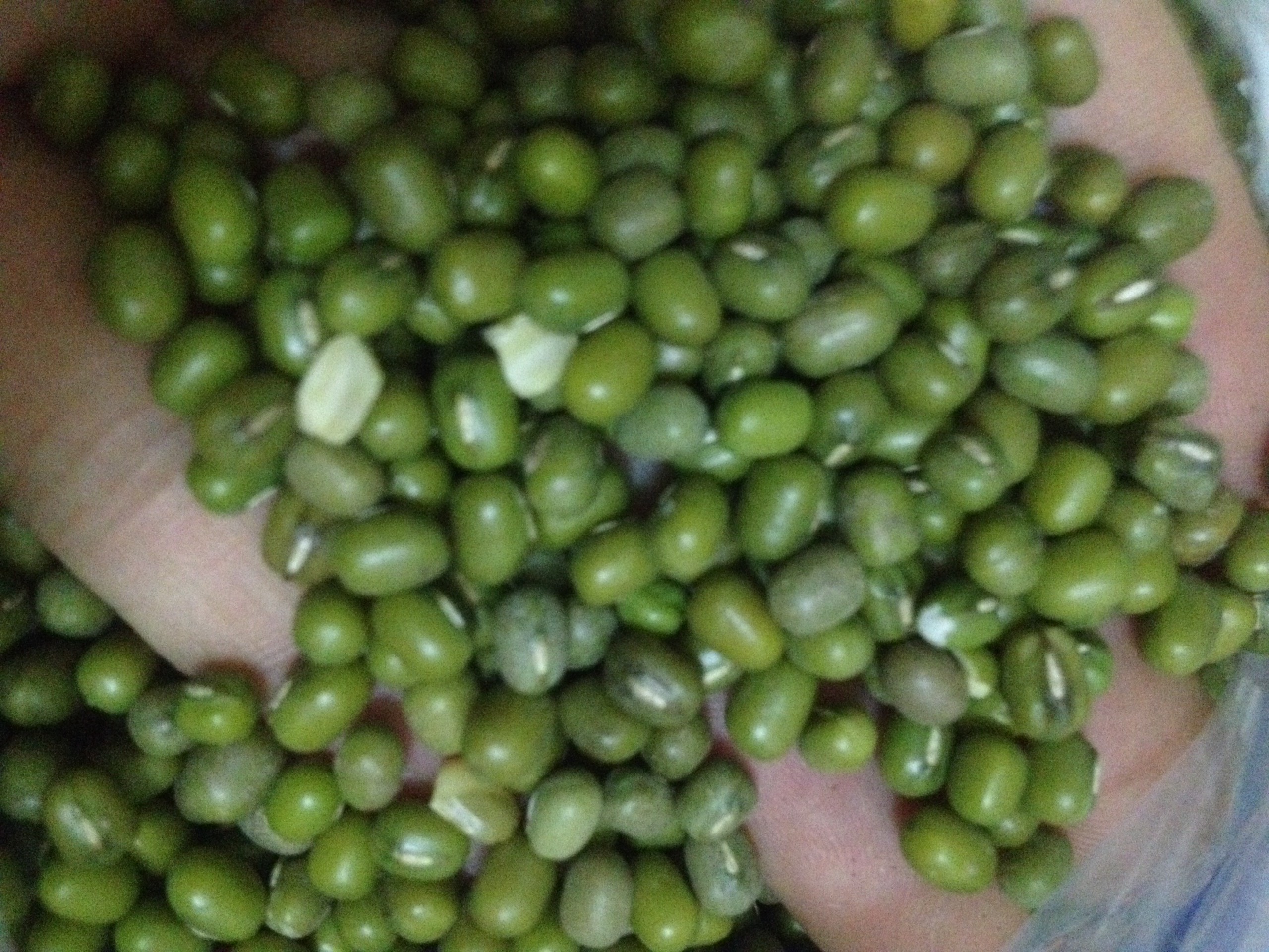 đậu xanh nhà trồng 1kg