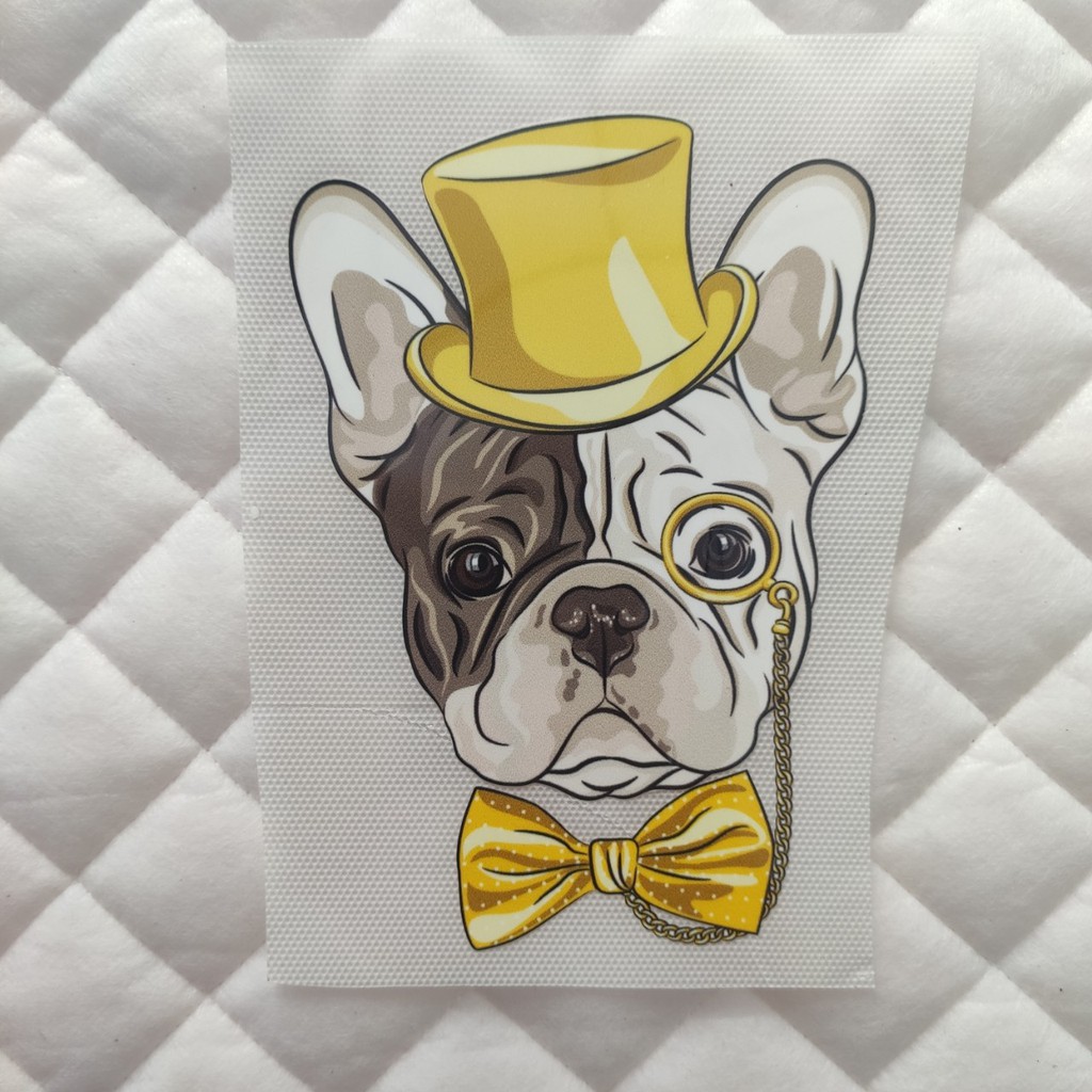 H&igrave;nh ủi, h&igrave;nh &eacute;p nhiệt - Pull Dog