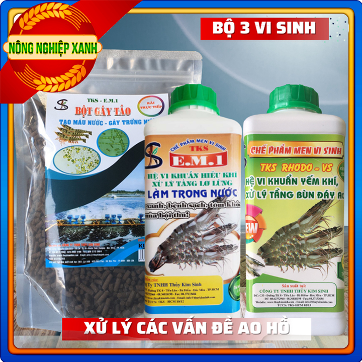 Bộ 3 vi sinh: xử lý tầng bùn đáy ao, làm trong nước , gây tảo tạo màu nước ao nuôi tôm cá