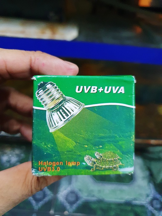 "Hoàn tiền đến 10%" BÓNG ĐÈN SƯỞI ẤM VẬT NUÔI UVA UVB RUÀ BABA BÒ SÁT