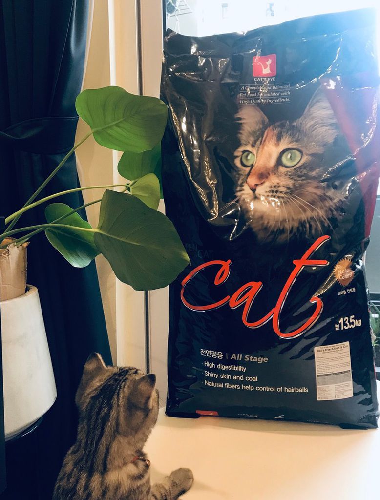 Thức ăn Hạt Khô Cat Eye Hàn Quốc Cho Mèo - Túi Chiết 1kg