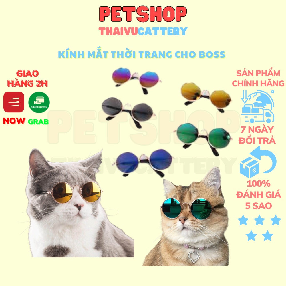 Kính mắt cho chó mèo - Kính mắt thời trang cho chó mèo