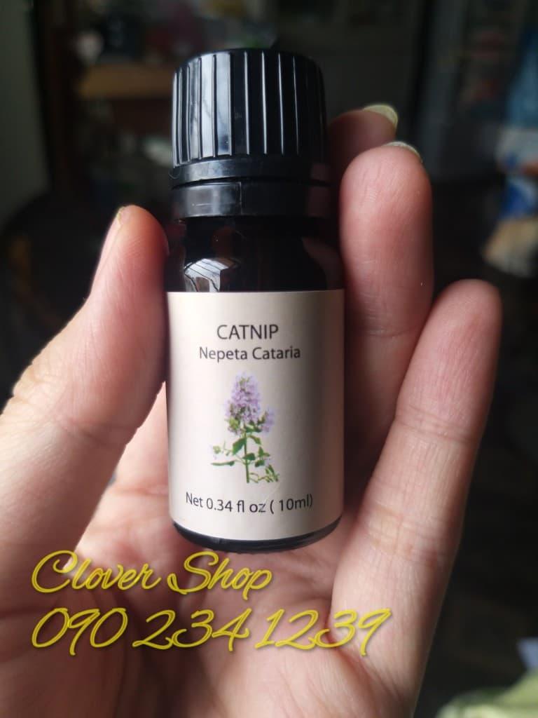 Tinh dầu cỏ mèo catnip
