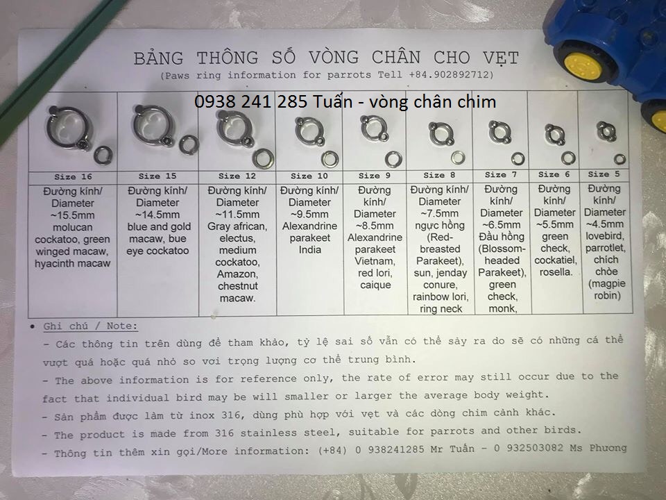 Vòng đeo chân vẹt inox 316 cao cấp