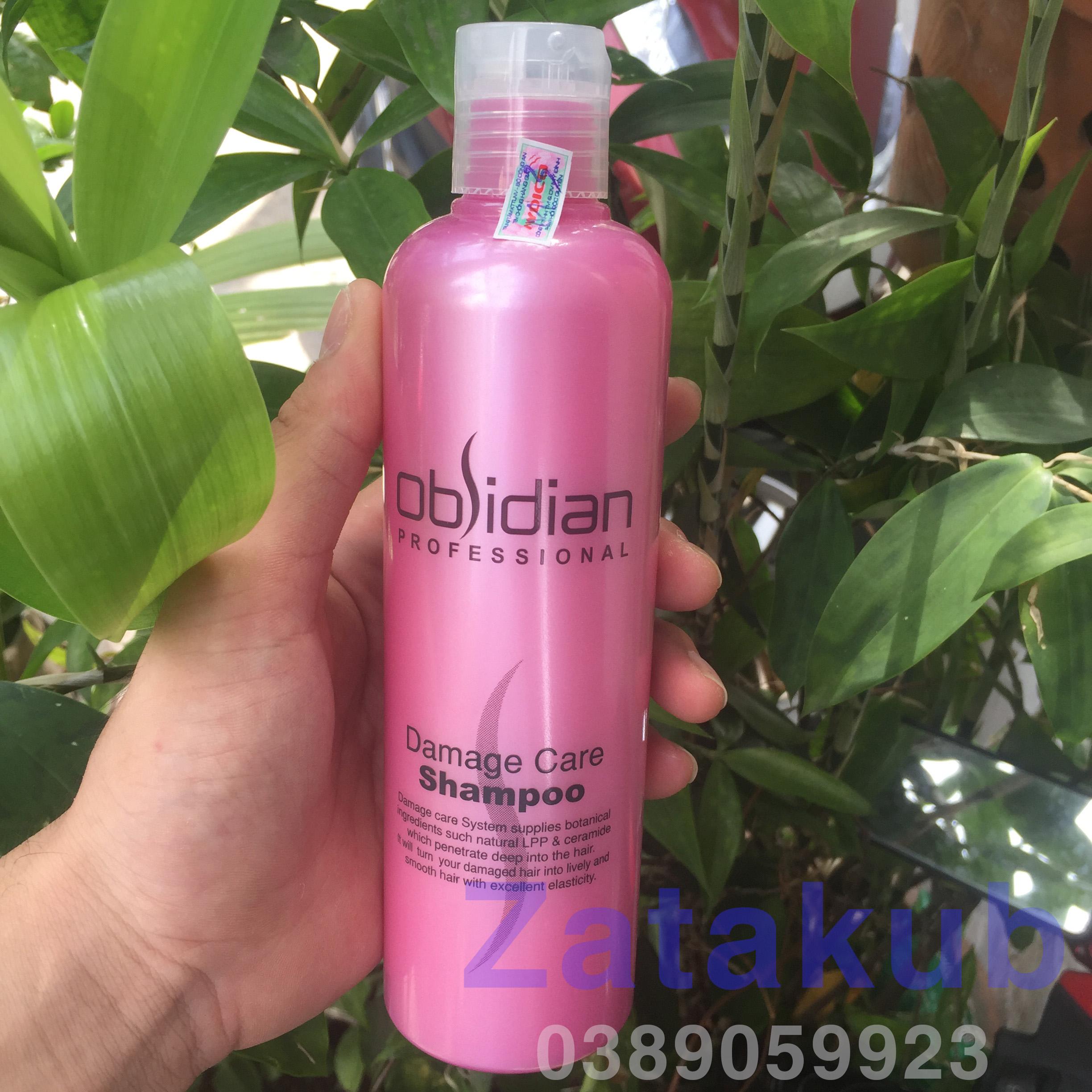 Dầu Gội Tái Tạo Tóc Obsidian Damage Care Shampoo 300ml
