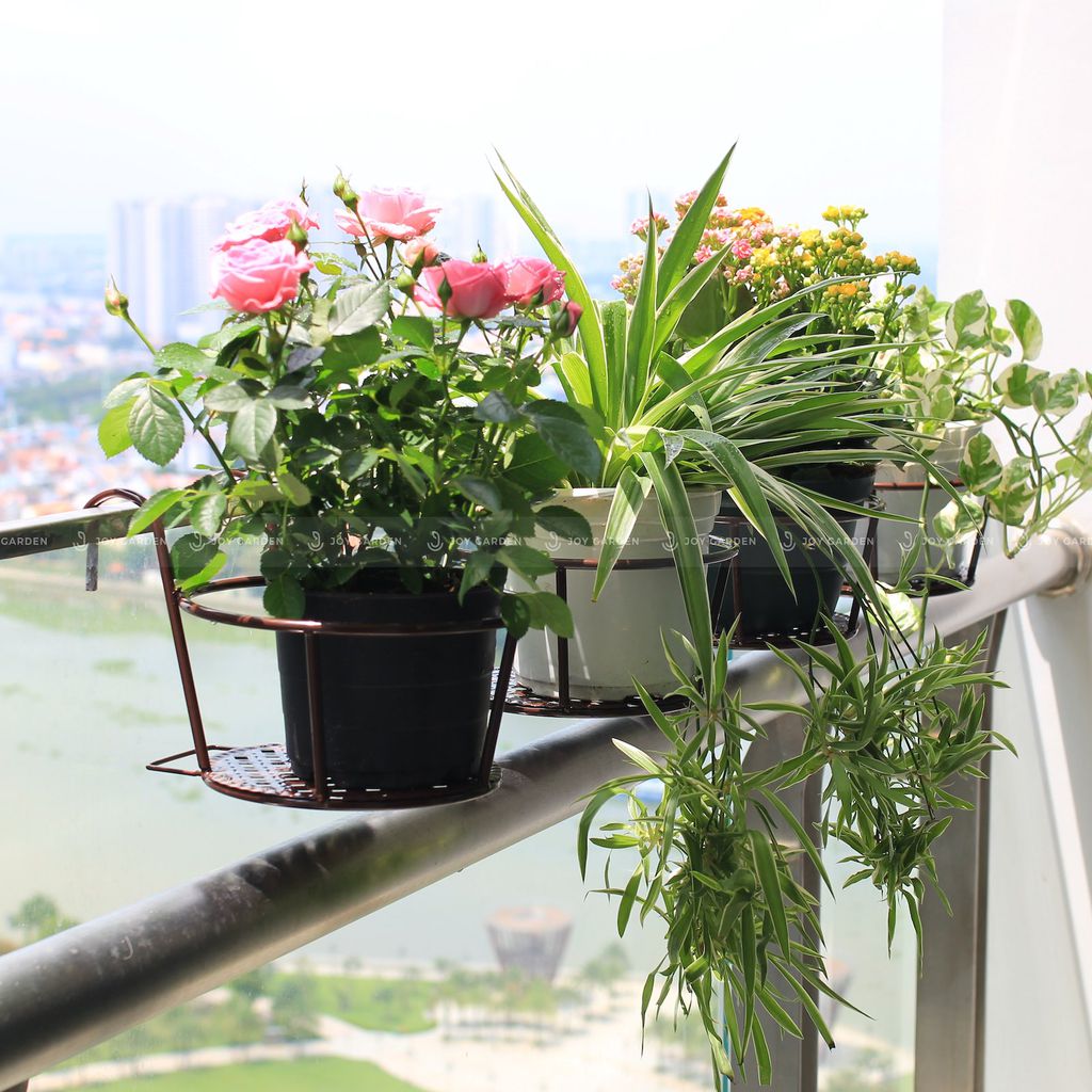 Giỏ sắt treo chậu hoa ngoài trời - kệ treo sắt tròn treo cây cảnh ngoài ban công, sân vườn - giá sắt treo đa năng loại dày, bền