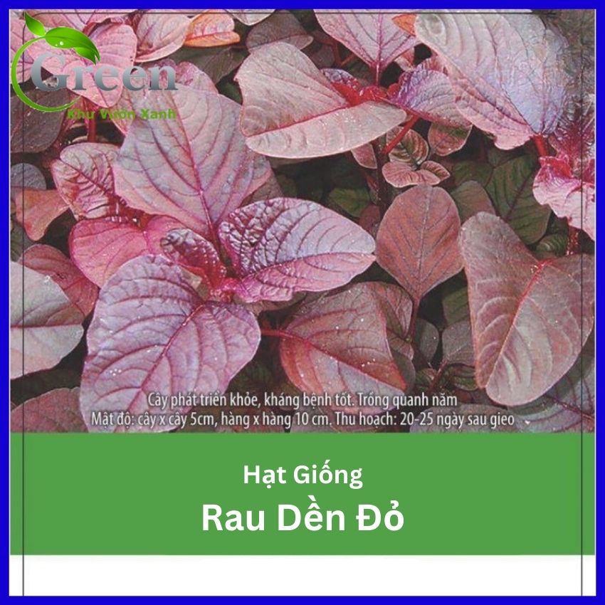 Hạt giống rau dền đỏ - 20 gam