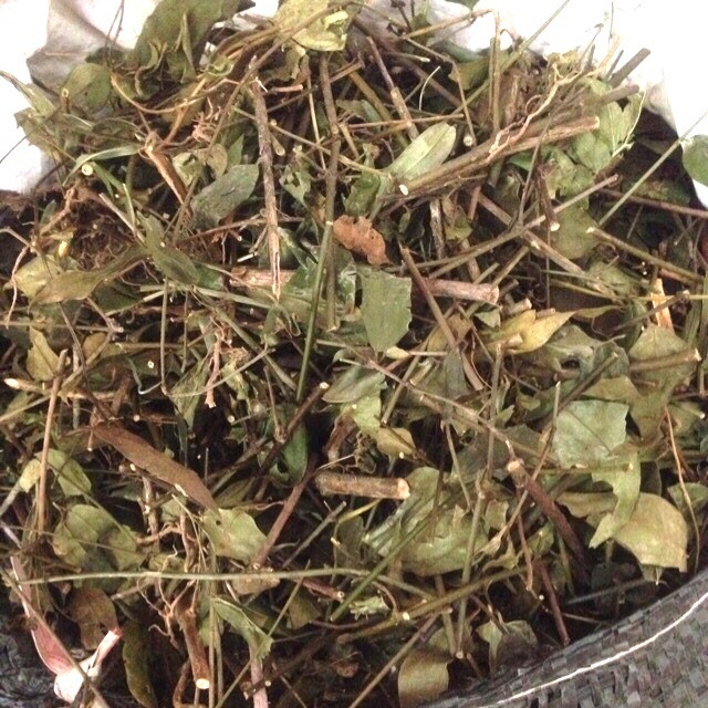 1KG chè vằng lợi sữa,giảm cân cho mẹ sau sinh