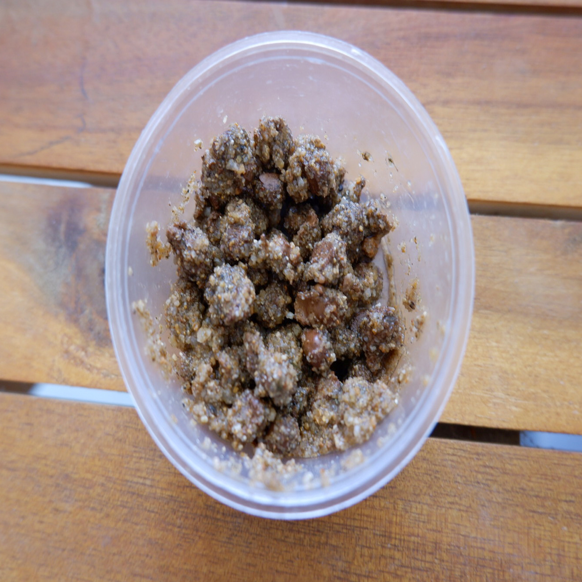 Trứng cào cào cốm, giống cào cào cốm thức ăn cho chim, cá cảnh ( hộp 20, 50, 100 trứng) tặng thêm 5%trứng, và hạt giống cỏ cho cào cào ăn, có video hướng dẫn ấp, cam kết hỗ trợ kĩ thuật trong suốt quá trình nuôi