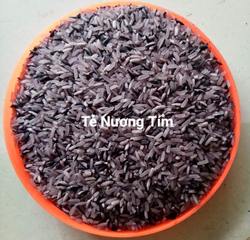 🌺Gạo tẻ dẻo nương tím trạm tấu yên bái 10Kg