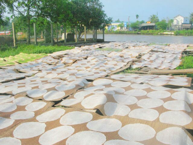 [Bịch 10 Cái] Bánh Tráng Sữa Hoàng Dung Loại Thượng Hạng