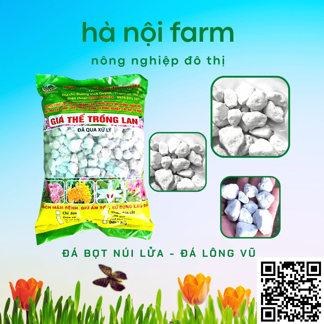 Đá lông vũ vật liệu lọc hồ cá loại 2-4cm gói 5dm