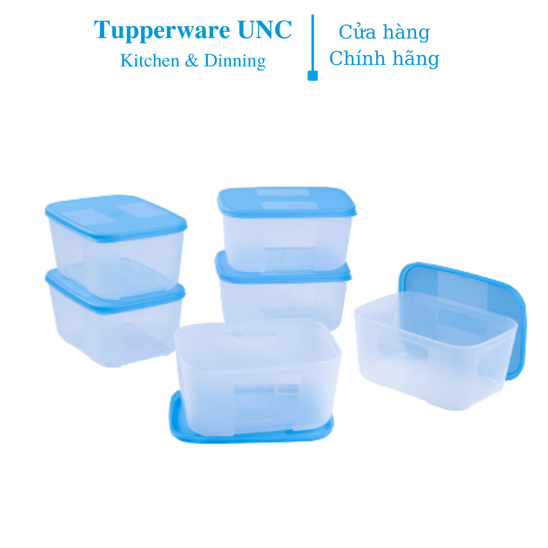 Bộ hộp trữ đông Tupperware Basic Set 650ml
