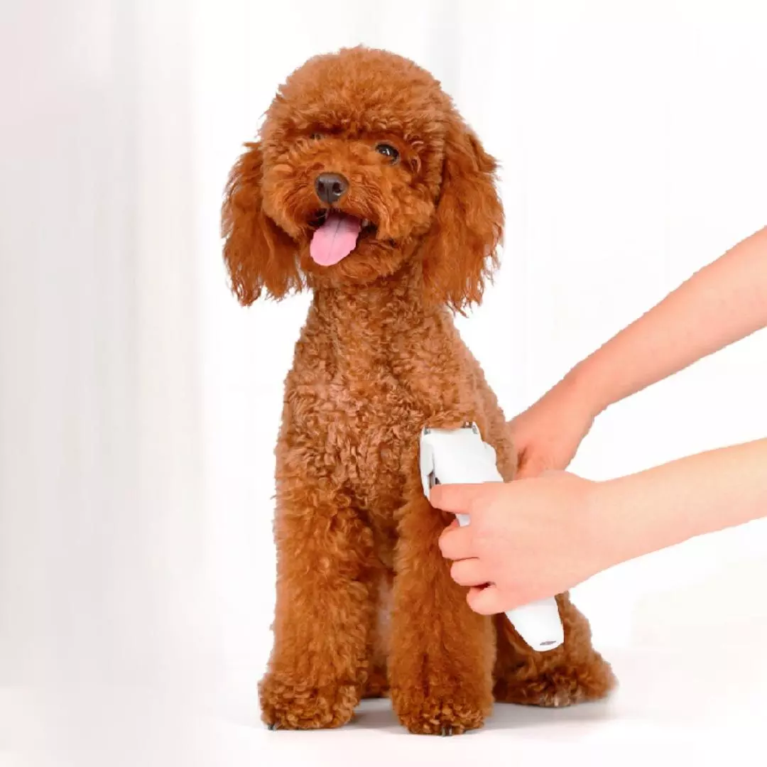 [HN]Máy Tỉa Lông Thú Cưng Cho Chó Mèo Xiaomi Pawbby Tông Đơ Điện Chải Chuốt Máy Cắt Lông Thú Cưng Chuyên Nghiệp Thú Cưng Có Thể Sạc Lại An Toàn