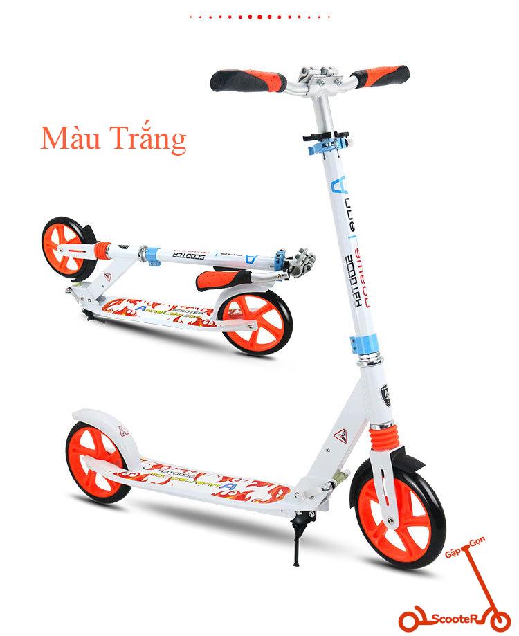 Xe Trượt Scooter Người Lớn Adult Scooter Anne Lawson Y5
