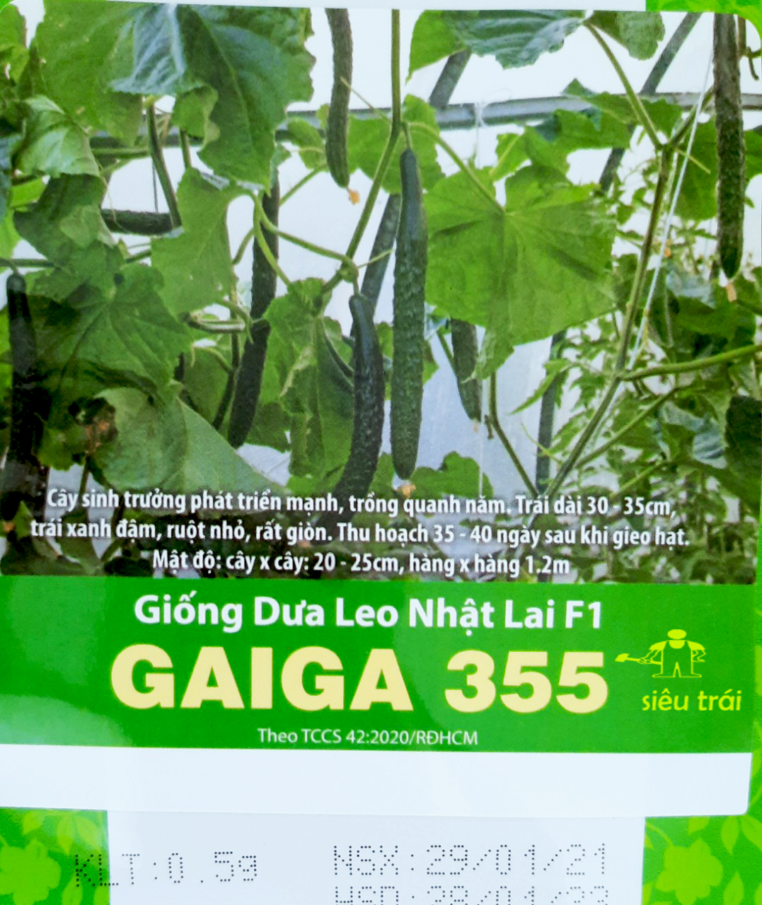 [HCM]gói 05gram hạt giống dưa leo nhật gai siêu trái F1 thu hoạch sau 35 ngày gieo hạt -tỉ lệ nảy mầm hơn 85%-hàng cty chất lượng tốt