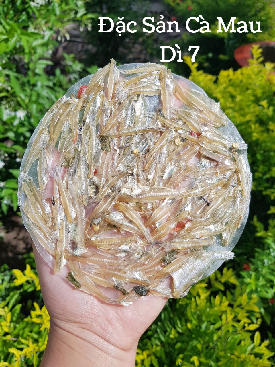 Bánh tráng cá cơm Cà Mau loại đặc biệt siêu giòn ngon