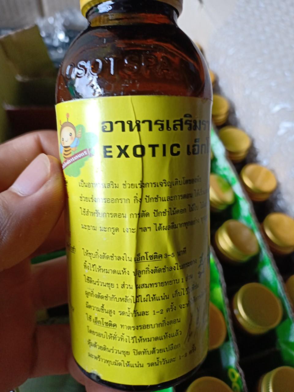 EXOTIC siêu kích rễ thái lan nhập khẩu nguyên chai