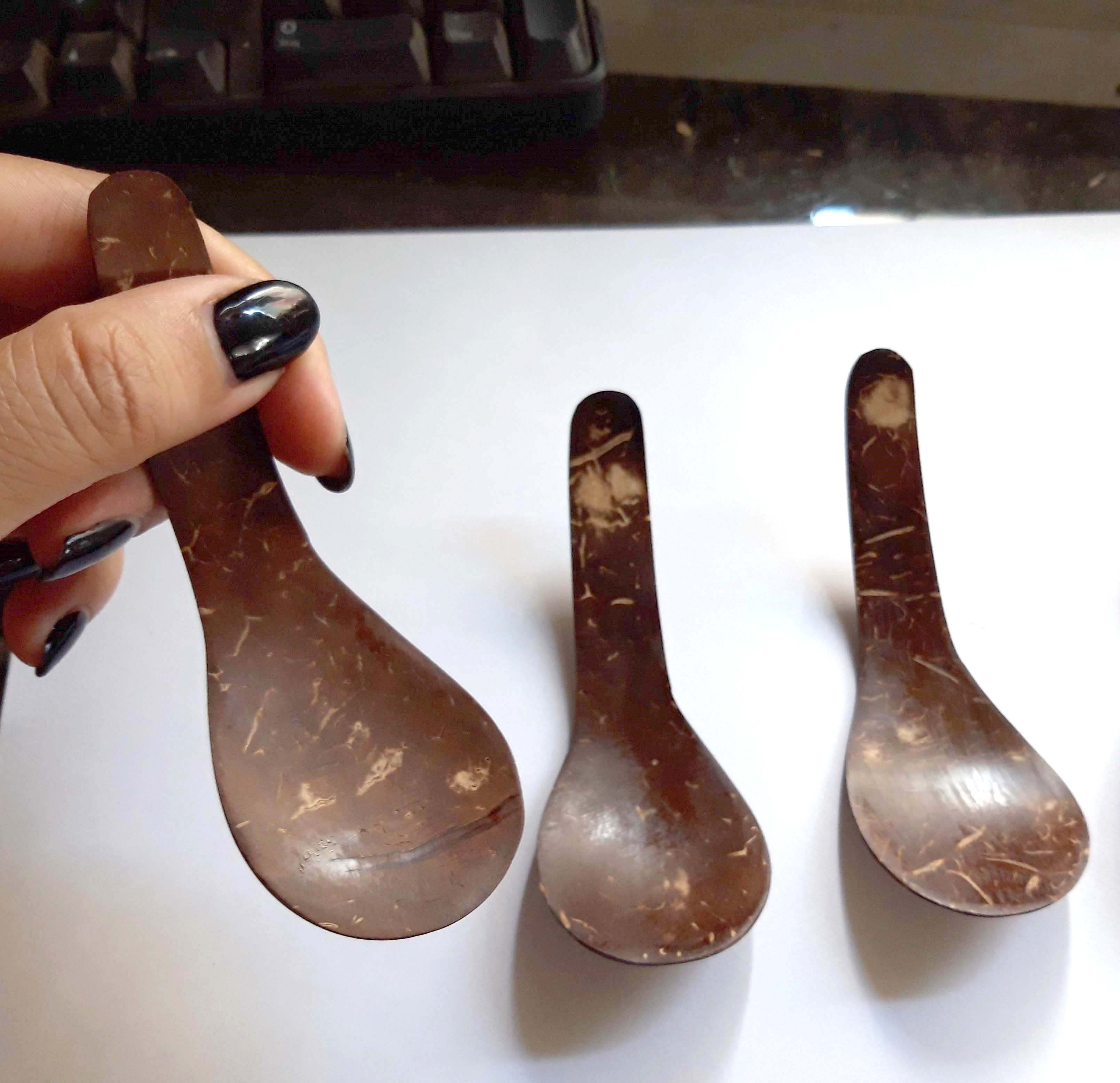 SET 10 Thìa Muỗng Kem Từ Gáo [Sọ] Dừa  YESCOCO XƯỞNG SẢN XUẤT